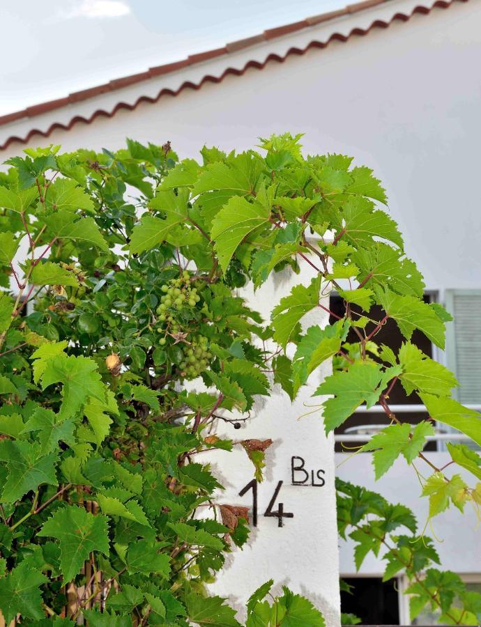 Villa Dana Paradise House Nizza